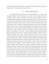 Lyčių nelygybės grėsmės visuomenės saugumui 6 puslapis