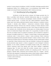 Lyčių nelygybės grėsmės visuomenės saugumui 9 puslapis