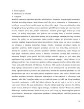 Lyčių nelygybės grėsmės visuomenės saugumui 10 puslapis