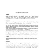 Makroekonomika - nacionalinis produktas 3 puslapis