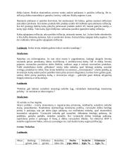 Makroekonomika - nacionalinis produktas 4 puslapis