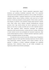 Narystės tarptautinėse organizacijose sąlygos 3 puslapis