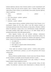 Įvairių gyvūnų virškinimo ypatumai 7 puslapis