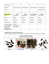 Šlapimo sudėties analizė, ekskrementų tyrimas 2 puslapis