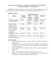 Centrinio ir refleksinio slopinimo tyrimas 2 puslapis