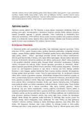 12 klasės lietuvių konspektas 2 puslapis