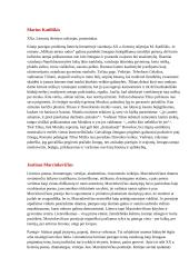 12 klasės lietuvių konspektas 12 puslapis