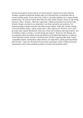 12 klasės lietuvių konspektas 13 puslapis