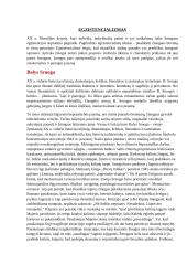 12 klasės lietuvių konspektas 8 puslapis