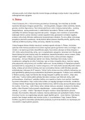 12 klasės lietuvių konspektas 9 puslapis