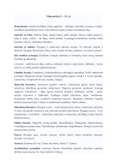 Epochų konspektas literatūroje 2 puslapis