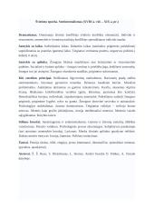 Epochų konspektas literatūroje 6 puslapis