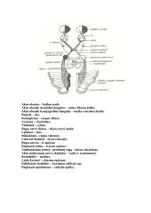 Teorija apie akį 3 puslapis