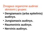 Augalo audiniai 11 puslapis