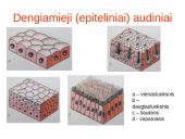 Augalo audiniai 14 puslapis