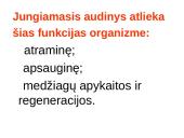 Augalo audiniai 15 puslapis