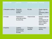 Augalo audiniai 16 puslapis