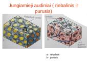 Augalo audiniai 19 puslapis