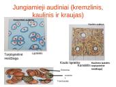 Augalo audiniai 20 puslapis