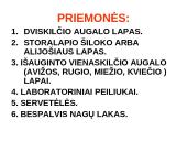 Augalo audiniai 5 puslapis