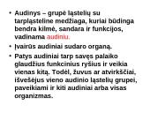 Augalo audiniai 7 puslapis