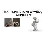 Augalo audiniai 10 puslapis