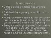 Viskas apie garsą 16 puslapis