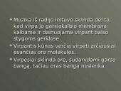 Viskas apie garsą 4 puslapis