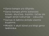 Viskas apie garsą 6 puslapis