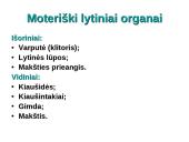 Dauginimosi organai 13 puslapis