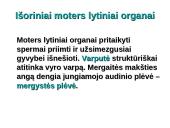 Dauginimosi organai 14 puslapis