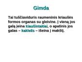 Dauginimosi organai 16 puslapis