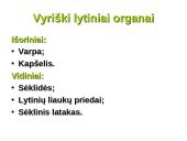 Dauginimosi organai 3 puslapis