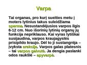 Dauginimosi organai 4 puslapis