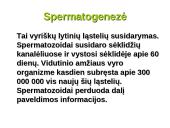 Dauginimosi organai 8 puslapis
