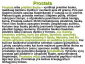 Dauginimosi organai 10 puslapis