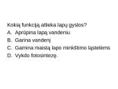 Augalas. Fotosintezė 2 puslapis