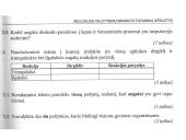 Augalas. Fotosintezė 13 puslapis