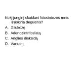 Augalas. Fotosintezė 15 puslapis