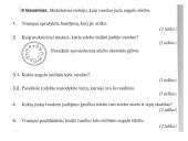 Augalas. Fotosintezė 17 puslapis