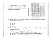 Augalas. Fotosintezė 4 puslapis