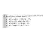 Augalas. Fotosintezė 8 puslapis