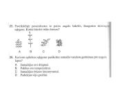 Augalas. Fotosintezė 10 puslapis