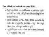 Fotosintezės teorinė medžiaga 14 puslapis