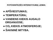 Fotosintezės teorinė medžiaga 15 puslapis