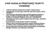 Fotosintezės teorinė medžiaga 17 puslapis