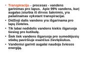 Fotosintezės teorinė medžiaga 18 puslapis