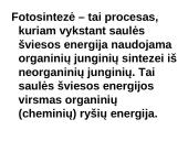 Fotosintezės teorinė medžiaga 7 puslapis
