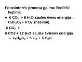 Fotosintezės teorinė medžiaga 8 puslapis