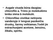 Fotosintezės teorinė medžiaga 10 puslapis